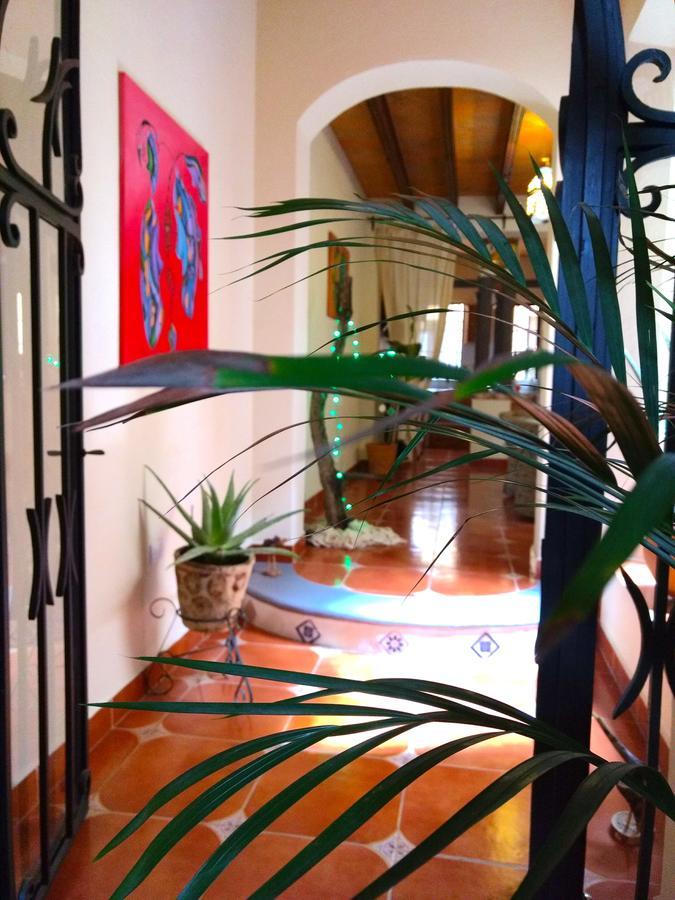 Posada Del Pozo Σαν Μιγκέλ ντε Αγιέντε Εξωτερικό φωτογραφία