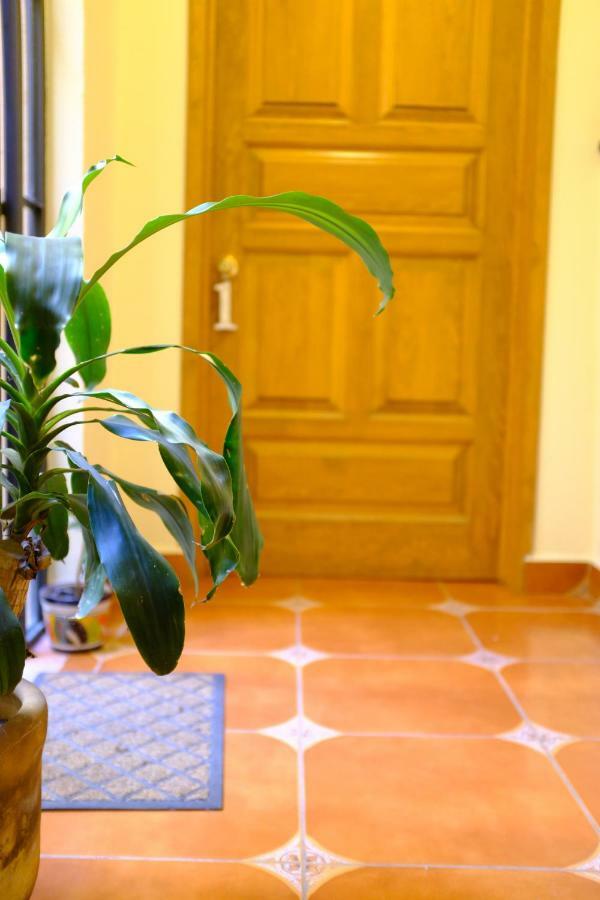 Posada Del Pozo Σαν Μιγκέλ ντε Αγιέντε Εξωτερικό φωτογραφία