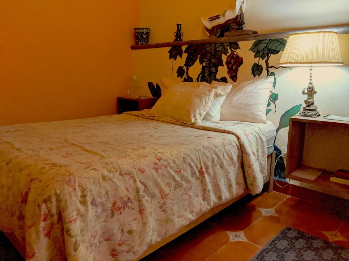 Posada Del Pozo Σαν Μιγκέλ ντε Αγιέντε Εξωτερικό φωτογραφία
